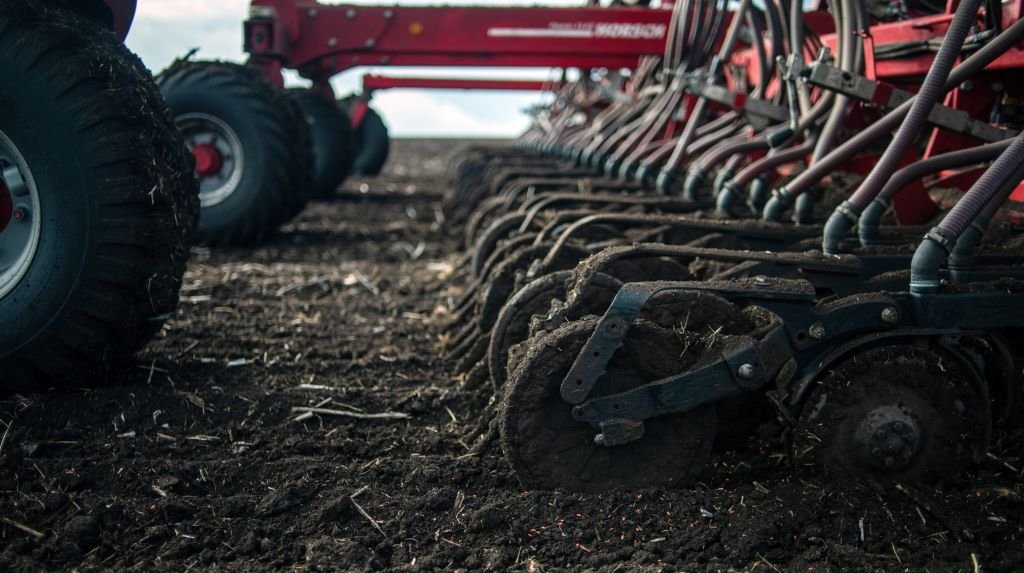 In Ukraine, the area under winter crops is decreasing: how much wheat, barley, rye and rapeseed will be sown